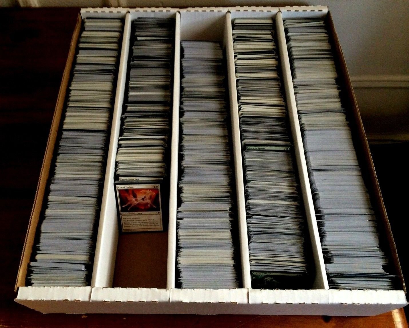 す*く様 大量 Magic: The Gathering コレクション（700枚 Amazon.com: Huge 4000 Card Magic The Gathering Card Collection
